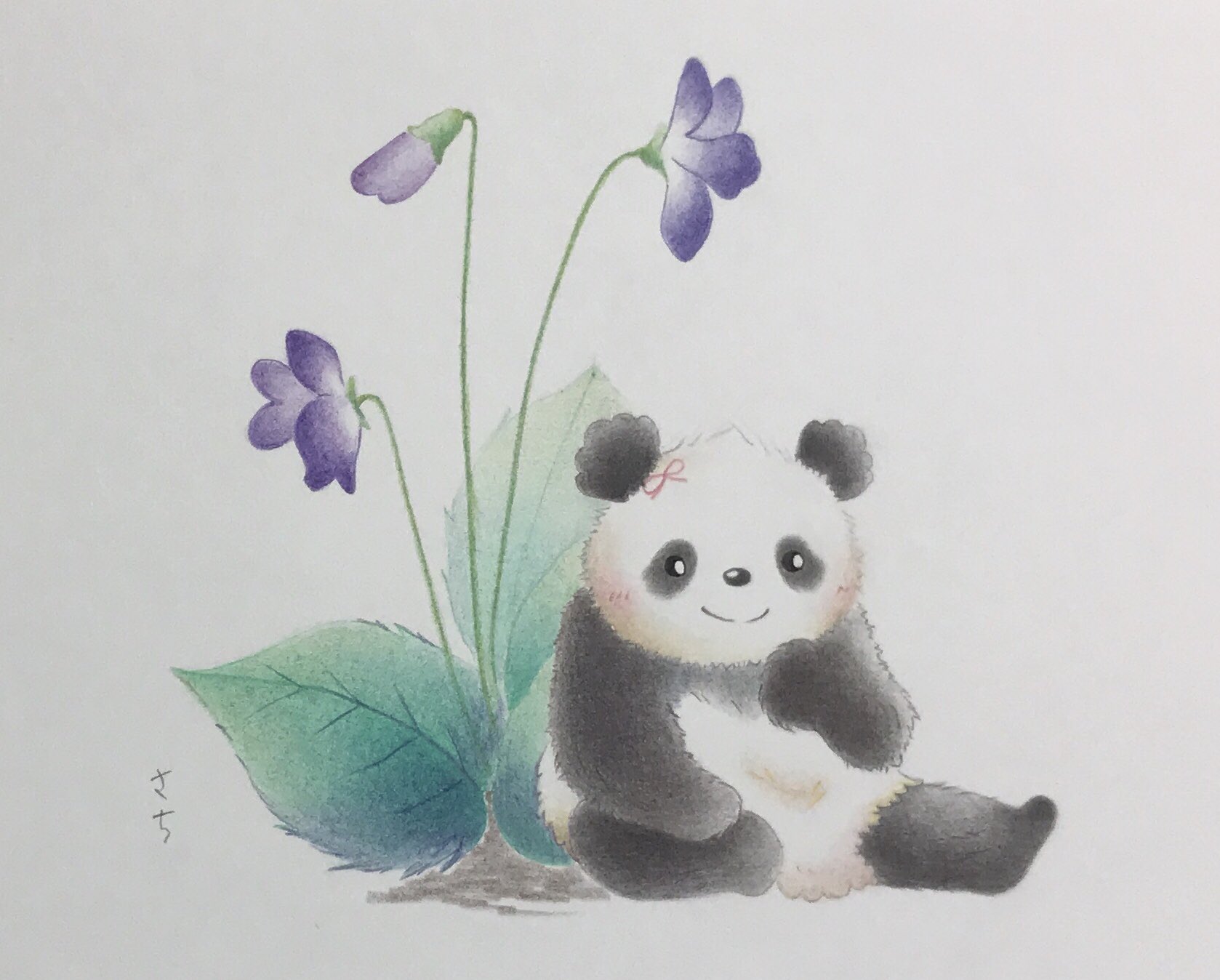 咲 パンダさん描きます 春の花とゆいひん すみれの花とツーショット 結浜 Yuihin Giantpanda Panda 大熊猫 Panda パンダ 動物画 色鉛筆画 イラスト T Co Gmwuxutmjy Twitter