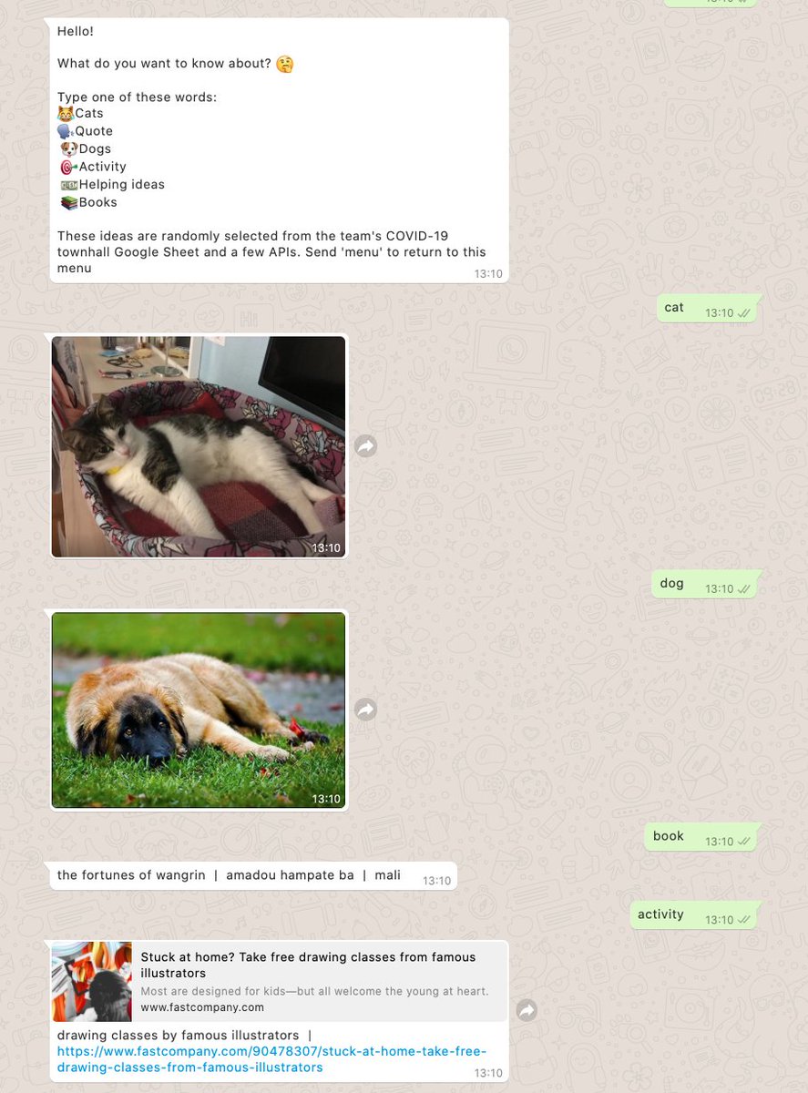 KTichmann's tweet photo. Fun weekend strengthening my backend skills 💪🏽

Making @WhatsApp bots - I've been working on one with @nodejs. And @WimLouw &amp; I have been making some fun ones with Python&amp;Flask!

Including a cat/dog/etc. generator based on @miguelgrinberg's tutorial https://t.co/WVwG8qhHVG https://t.co/1lVQhXIS3U