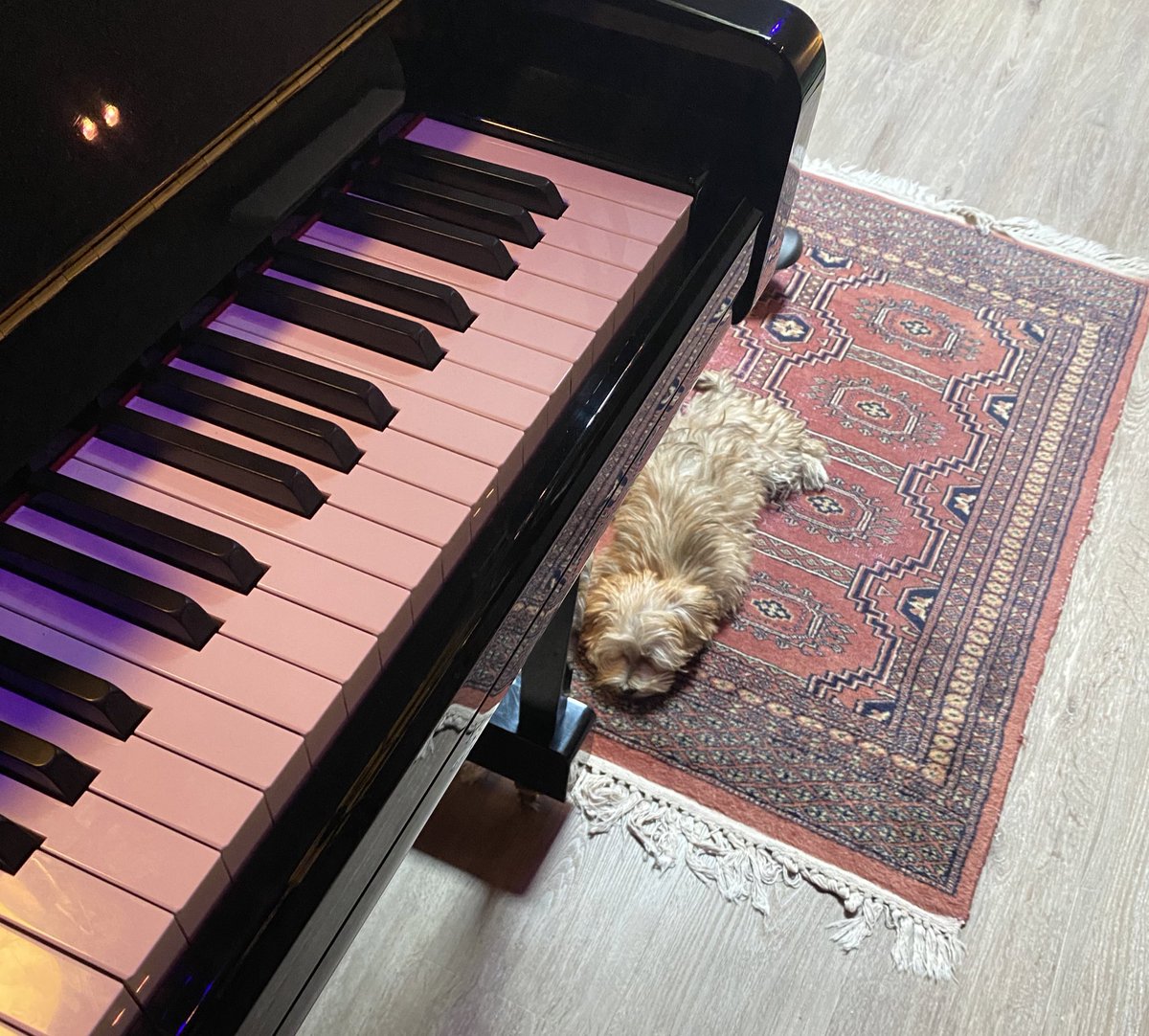 ‘think downtempo, ballad maybe ? i wanna write openly and honestly about my relationship with fox shit’