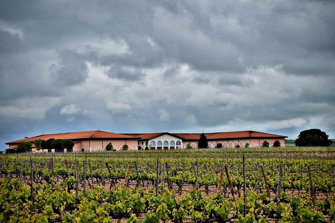 Espectaculares vistas de <a href="/bodegasmuseum/">bodegasmuseum</a> y sus viñedos desde el #GR296 #SenderosdelClarete <a href="/RutaVinoCigales/">Ruta del Vino Cigales</a> <a href="/DOCigales/">D.O. Cigales</a> #Senderismo #Paisaje #Viticultura #Enoturismo <a href="/rutasvinoespana/">Rutas Del Vino | ESP</a> <a href="/turvalladolid/">Turismo Valladolid</a> <a href="/TurismoCigales/">Turismo Cigales</a> @CyLesVida <a href="/vinetur/">Vinetur</a> <a href="/MoVinoDO/">Movimiento Vino D.O.</a> <a href="/cyldevinos/">CyL de Vinos</a> @EnoturismoVLL