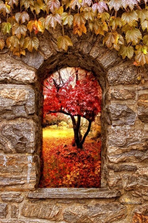 “Pişmanlık insanın kendi tanımında duyduğu rahatsızlıktır. 
Tövbe insanın bir önceki tanımını reddetmesi kendini yeniden tanımlamasıdır.”

 İsmet Özel