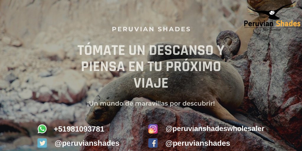 PeruvianShades's tweet photo. ¡Muy pronto podremos recorrer el Perú, mientras tanto, vamos pensando nuestro próximo destino, escríbenos y armaremos un programa especial para ti!
Email: reservas@peruvianshades.com
WA: https://t.co/PO8UHBPLtV
#yomequedoencasa #peru #peruvianshades #Paracas #Ballestas https://t.co/sVF8pgWhDk