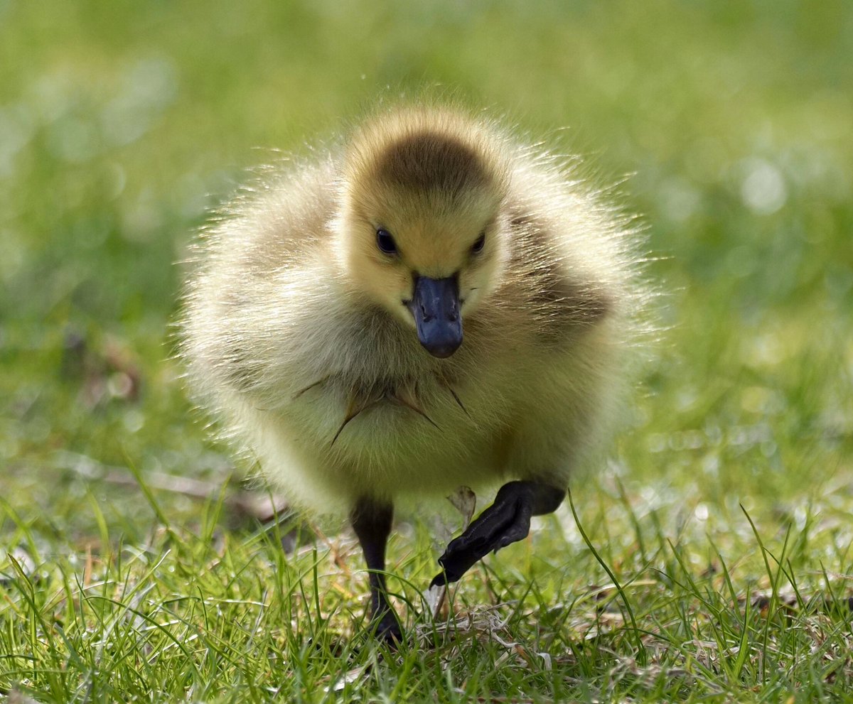 Marisol Betancourt tweet media