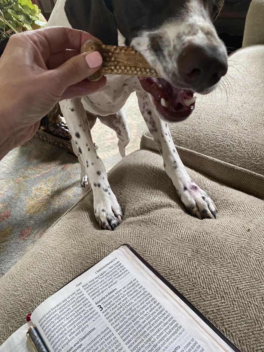 Beth Moore tweet media