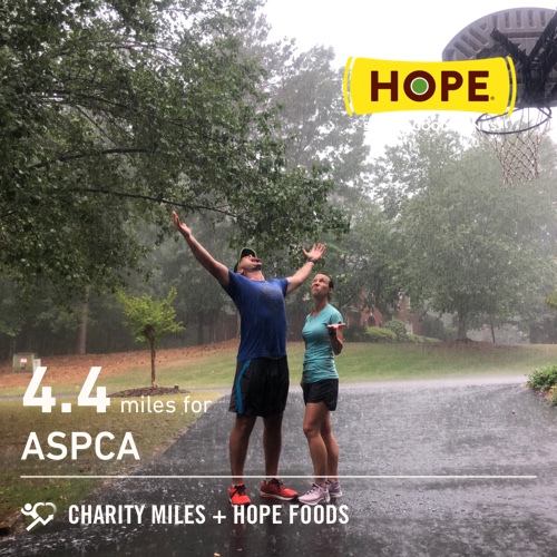 ColeBensinger's tweet photo. 4.4 @CharityMiles for @TeamASPCA. Thx @HopeHummus for sponsoring me! #SpreadHope Find someone who will run in the rain with you! #runAlabama https://t.co/eDLYFoPqpM