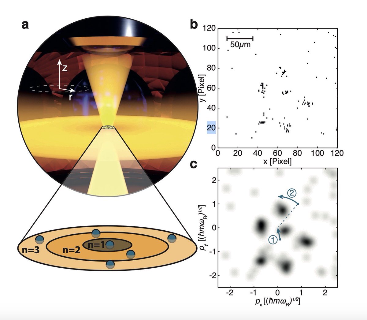 Dragonmaurizio's tweet image. Condensed #QuantumMaterial 
Signature of Pauli Exclusion Principle in fermionic gas. Trapped atoms of lithium-6 cooled to their lowest energy states in a flat 2-D optical lattice @UniHeidelberg 🇩🇪 source. arxiv.org/pdf/2005.03929…