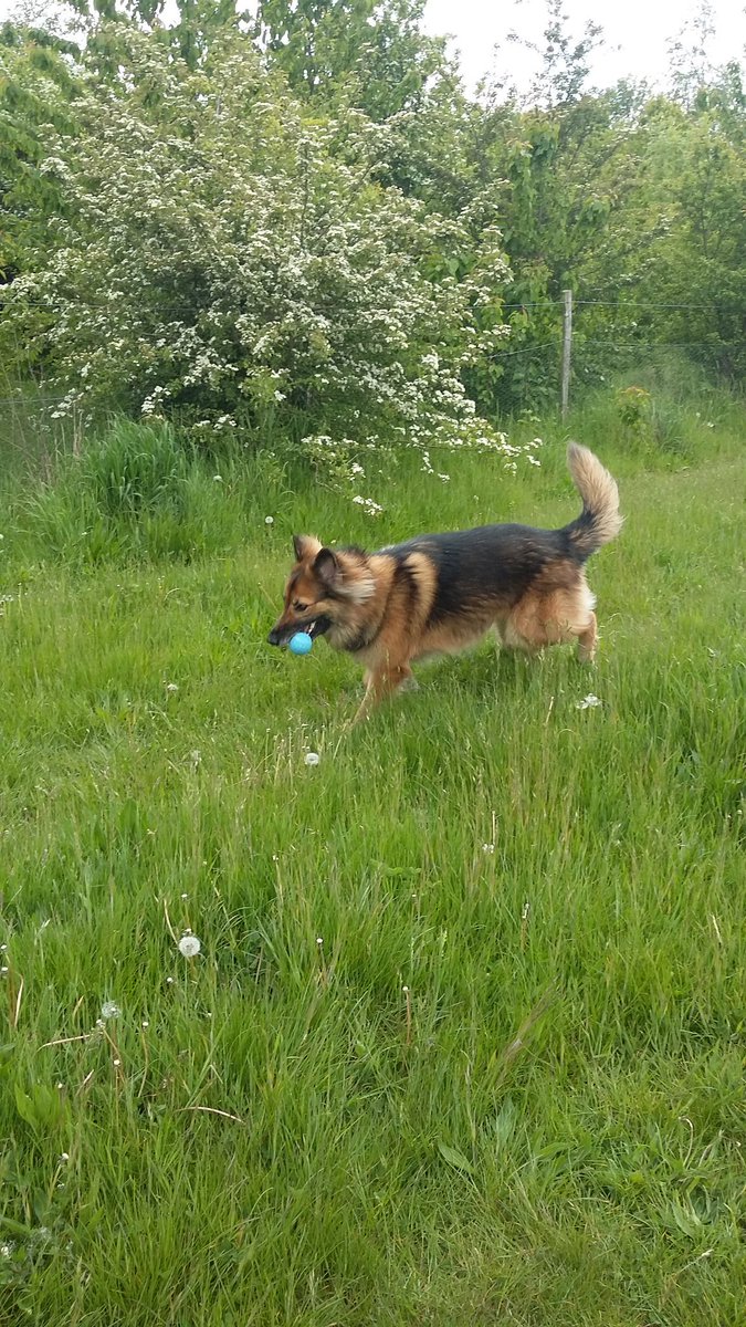 Phoebe And Bobby tweet media