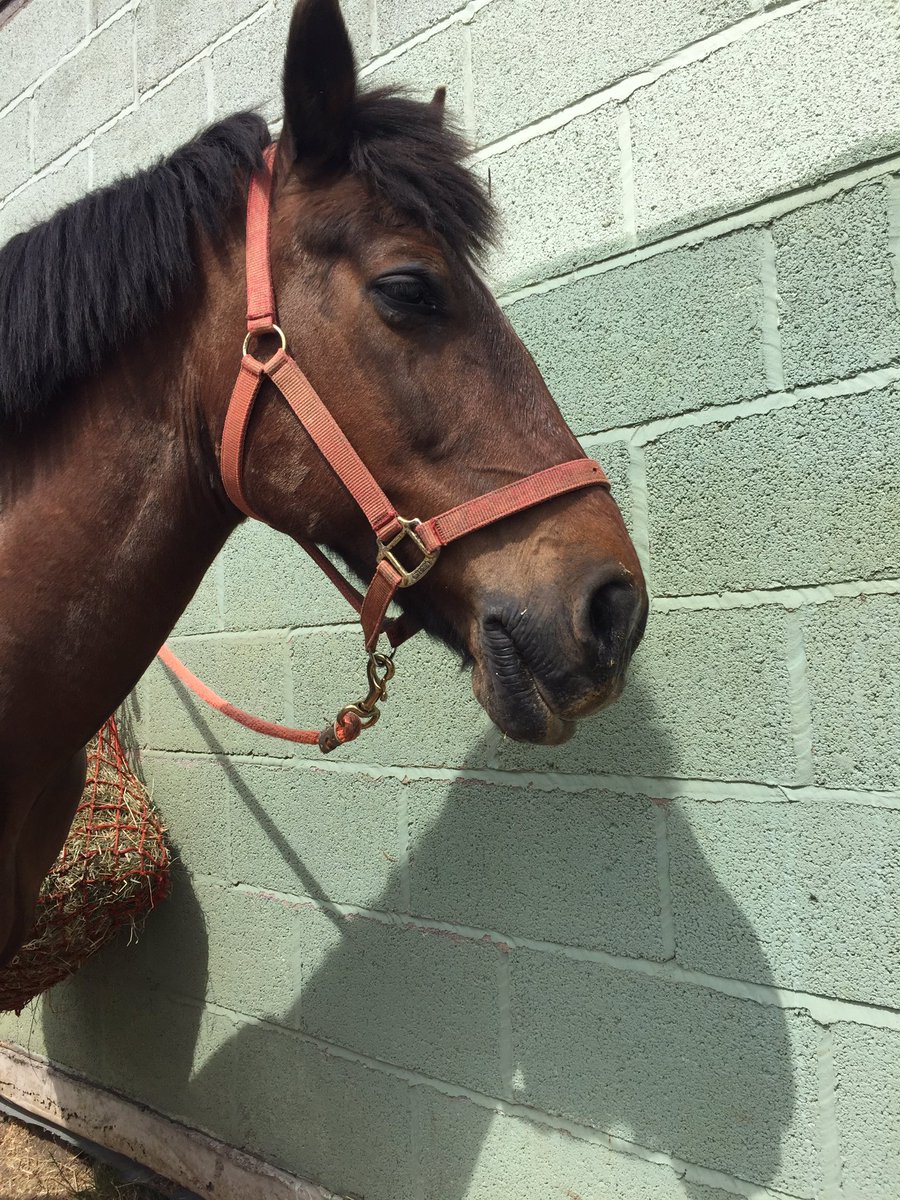 Arty can’t be bothered today