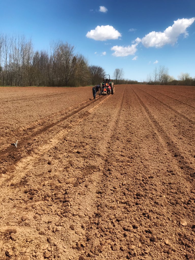 Katie Keddy tweet media