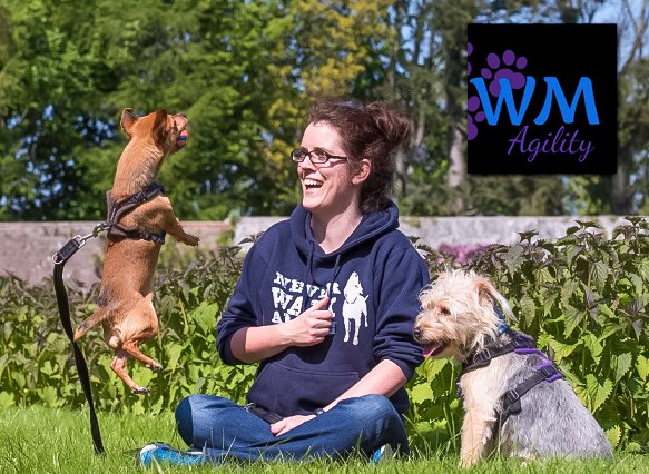 Local business news 
WaggyBabas Lockdown 2020 The Covid Cup 
Dogs agility WaggyMamas from the safety of your own back garden!  
dunlaoghairerathdown.com/local-news/wag… 
#dog #agilit #fitness #ireland #speed #dogs #puppy #instadog #cute #personaltraining #love #pet #doglover #dogoftheday