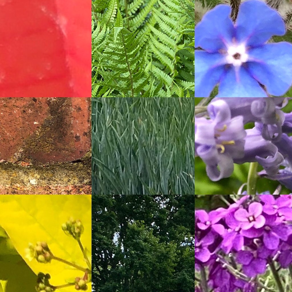books_let's tweet photo. @Polehampton And here’s the leaf and flower version from the walk today: 

📚💛 https://t.co/YbYlKNC3EC