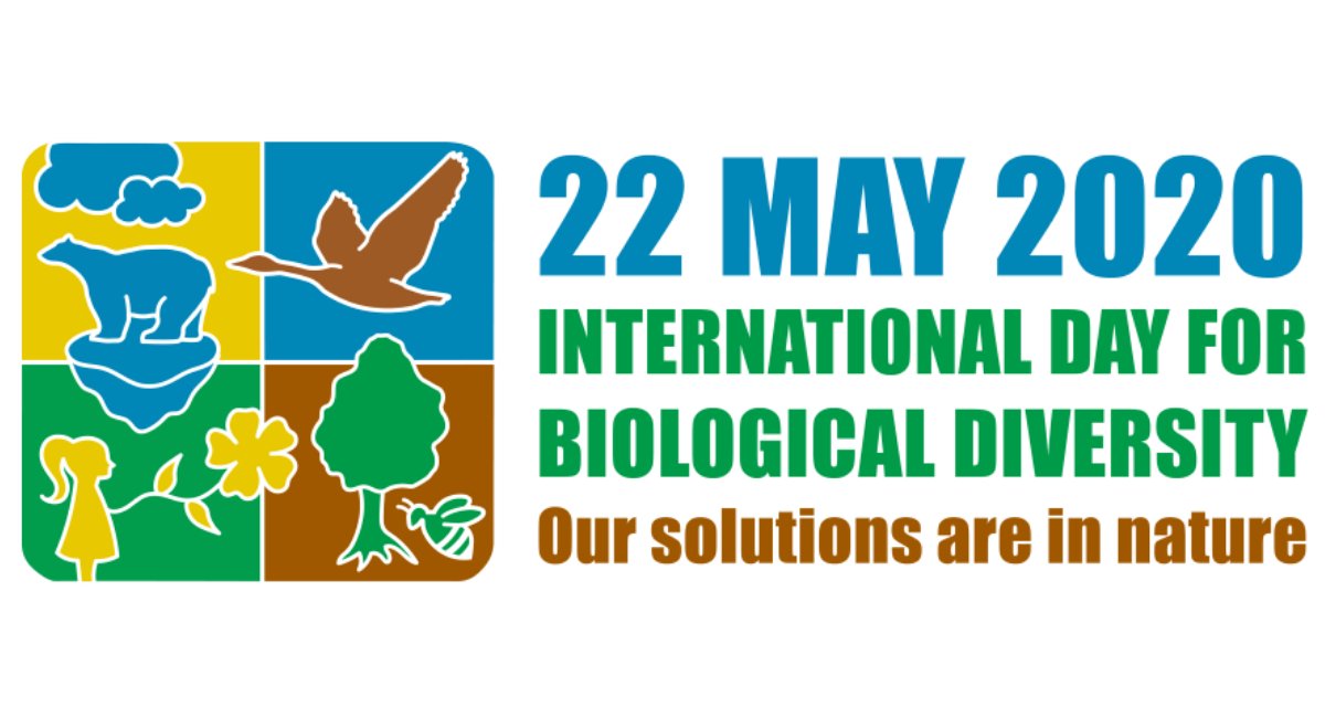 IPBES's tweet photo. 22 May is #BiodiversityDay!

🎋🍎🐛🌲🐦🌳🐿🌴

This year's theme, "Our solutions are in nature," reminds us that #biodiversity is the basis for a #sustainable future

The logo shows that people are part of #nature—not separate from it

Learn more⬇️
https://t.co/4JlZG2wkmi https://t.co/xxrvigV8hF