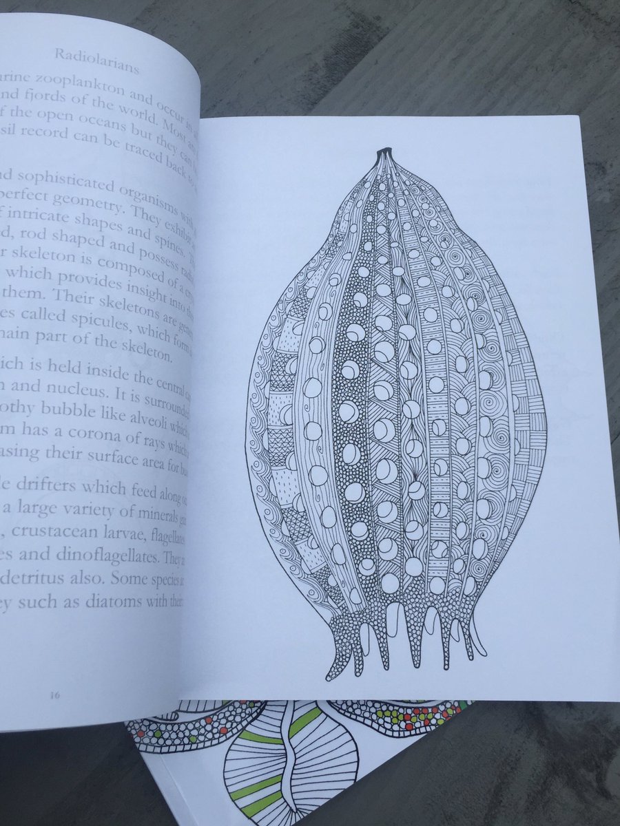 I’m doing a giveaway to win a copy of my microscopic themed colouring book ‘Life under the lens’. To win just retweet. Winner announced on Tuesday. #Sciart #scicomm #colourinf #coloring @iamscicomm @iamsciart amzn.to/2XehHiz
