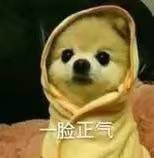 leeyebrows's tweet photo. 今天五点多就起了 感觉一天的时间都变长了 https://t.co/ThNKQweZQM