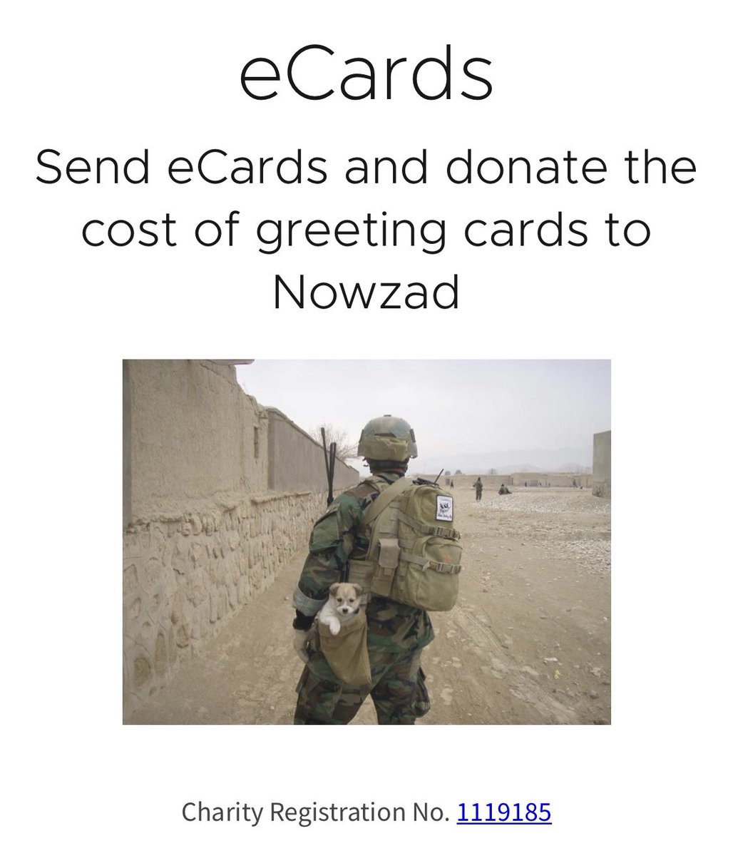 Nowzad's tweet photo. With many of us separated by distance from our loved ones, why not show them that you care by sending an eCard (with no environmental waste!) AND help the animals of Afghanistan at the same time by using the link below 💝

https://t.co/Wc39nUzhv4

@dontsendmeacard #lockdown https://t.co/4sN7JoCfrK