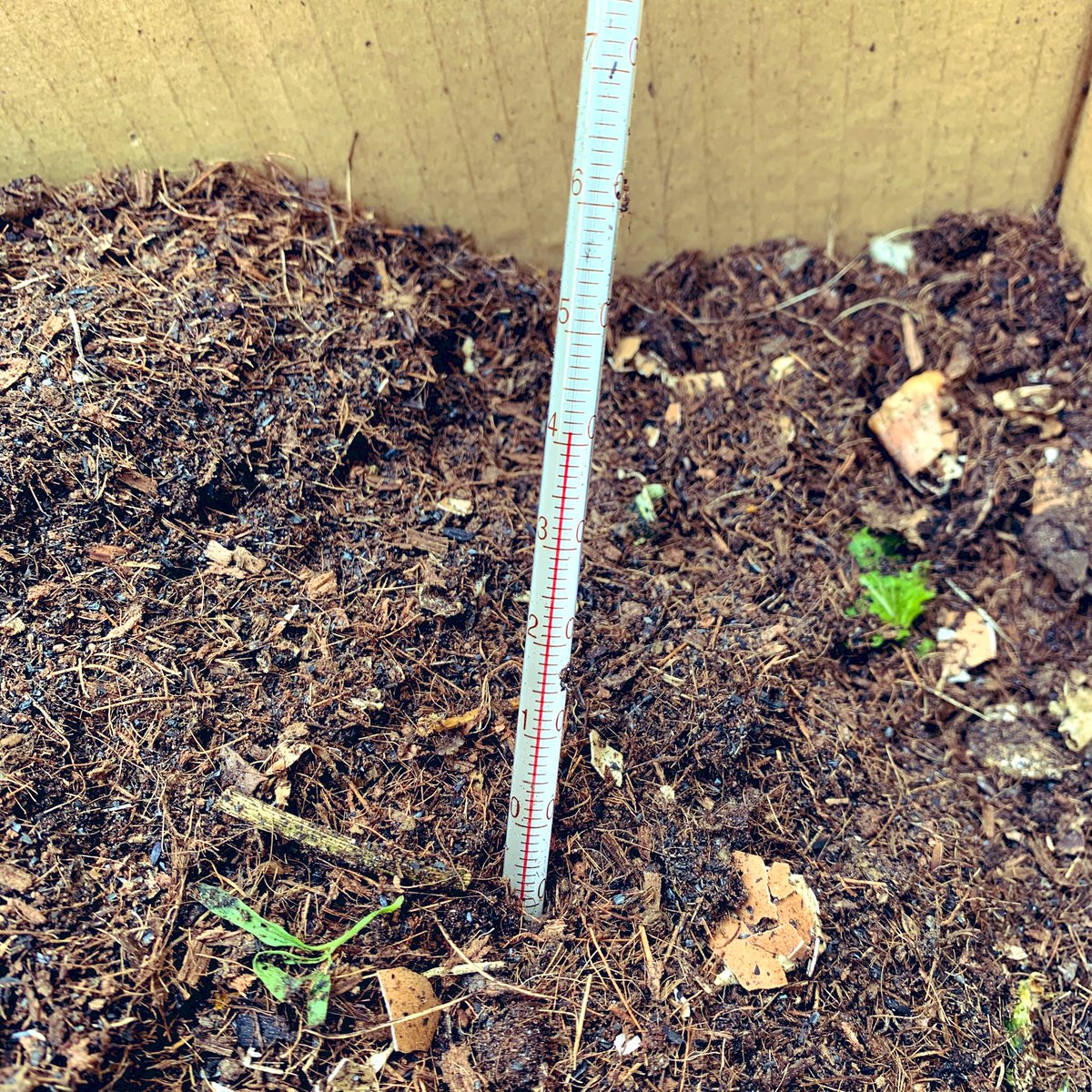 Maco Yoshioka うちはいまコンポストが３種類あります 枯れ葉や枝や雑草などを入れる木枠コンポスト と 生ごみを入れるバッグ型コンポストと段ボールコンポスト バッグ型がオシャレで人気だけだ段ボールも口が広いので混ぜやすくて捨てがたいのです