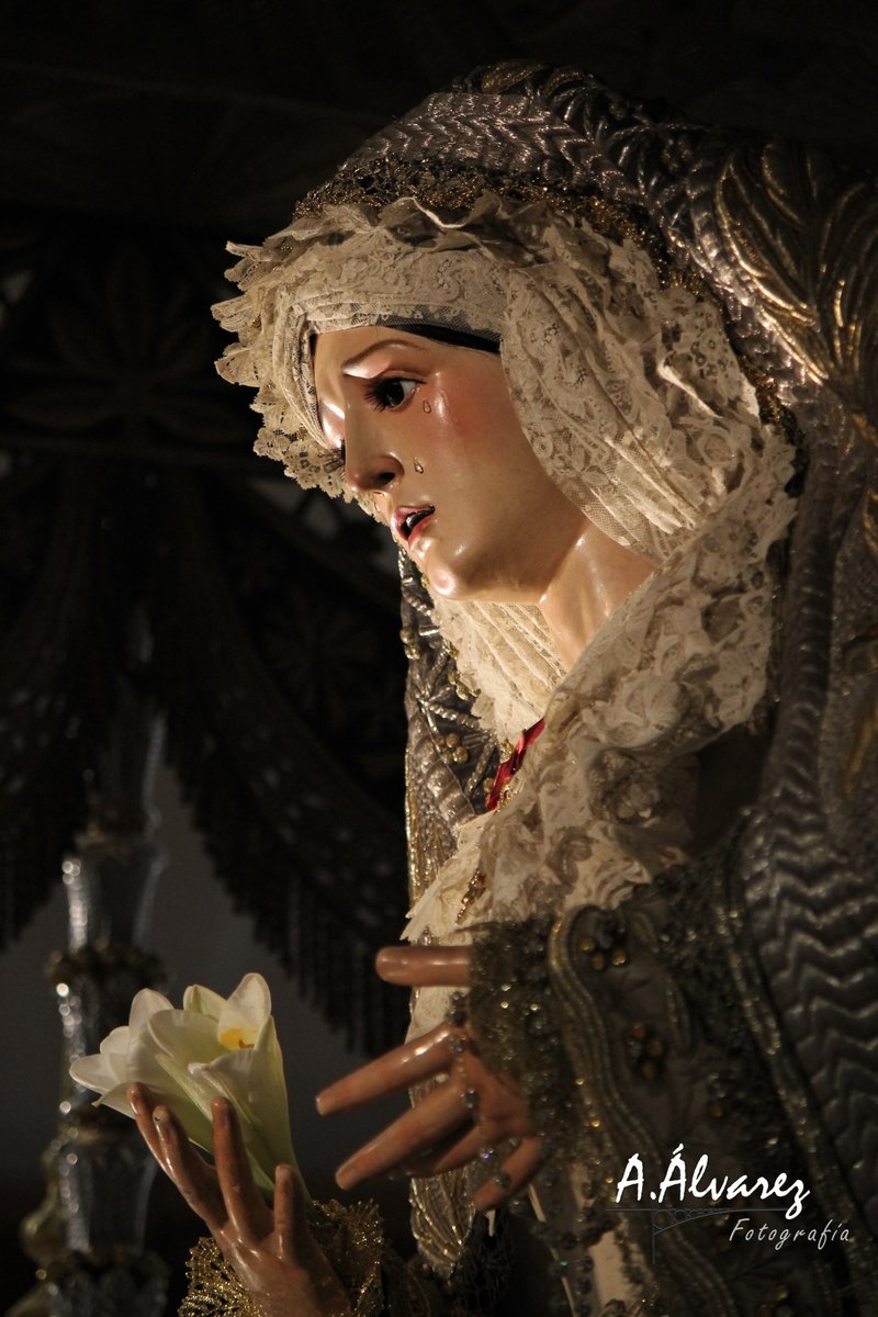 antalvgom_'s tweet photo. 📆#TalDíaComoHoy Hace un año (2019), Ntra. Sra. de los Ángeles era trasladada en su paso de palio hacia la Santa Iglesia Catedral con motivo de su Coronación Pontificia @Hdadlosnegros #ÁngelesCoronación #ReinaySeñoraNuestra #AAlvarezFotografía https://t.co/oB4AXGKuxn