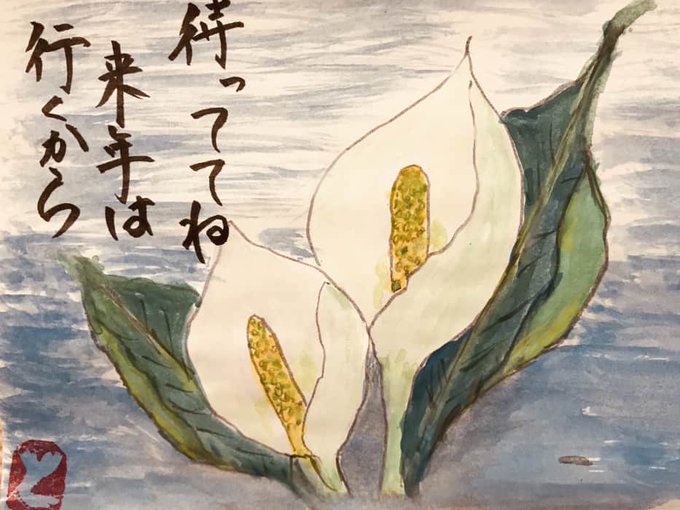 水芭蕉のtwitterイラスト検索結果 水芭蕉のtwitterイラスト検索結果