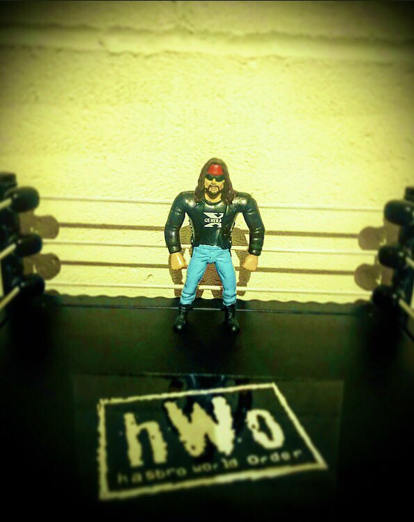 🙅🏻‍♂️ X-PAC 🙅🏻‍♂️

How cool is this JUST TOYS BEND-EMS @TheRealXPac 🔥 

#hWo #hWo4Life #FigLife #WWEEliteSquad #FigLovin #WWE #FigurePhotography #Figtography #sundaysupplement #Gove #17mai