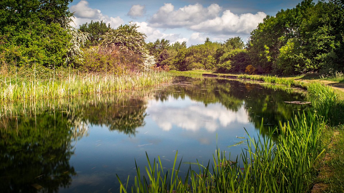 StuWPhotography's tweet photo. #visitstaffordshire #visitcannockchase #cannockchase #nikon #sigma #nisifilters #appicoftheweek #practicalphotography #landscapephotography #picoftheday https://t.co/ZxqFnSA8ai https://t.co/DKD0NsEDzE