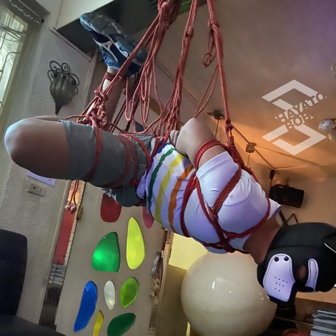 距上次綁人已超過半年，手感花了一點時間才恢復。
你猜我第一眼見到這個model發現什麼？
#男子緊縛 #dog #army