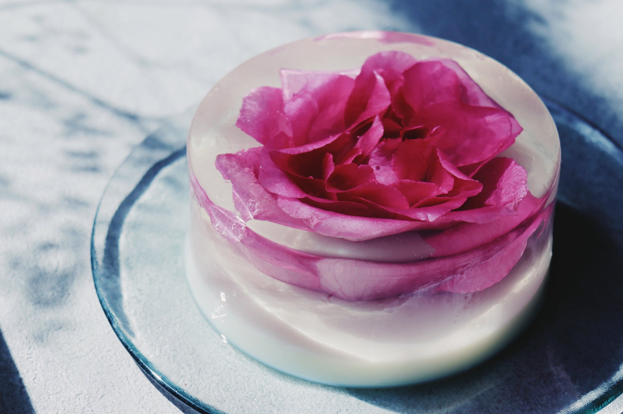 Twitter 上的 Tomei 透明愛好家 お花をまるごと閉じ込めた 白ワインとヨーグルトのゼリーケーキ T Co Lpljrojhnw Twitter