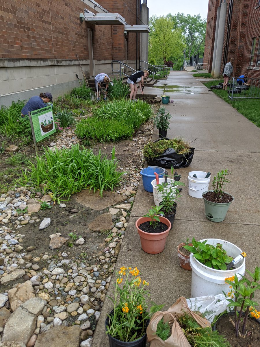 ceppie4999's tweet photo. Highlands Green Club students preparing our little ecological study site for some outdoor learning.  @FTSchools @FTHighlandsHS @mcbertasso https://t.co/GVa7qOXNoB