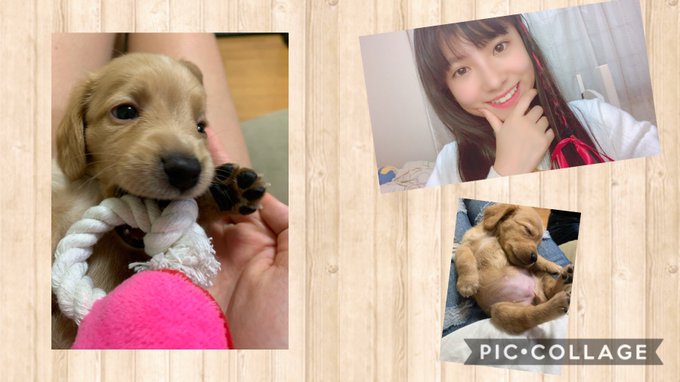 Twitterのコスプレ画像1