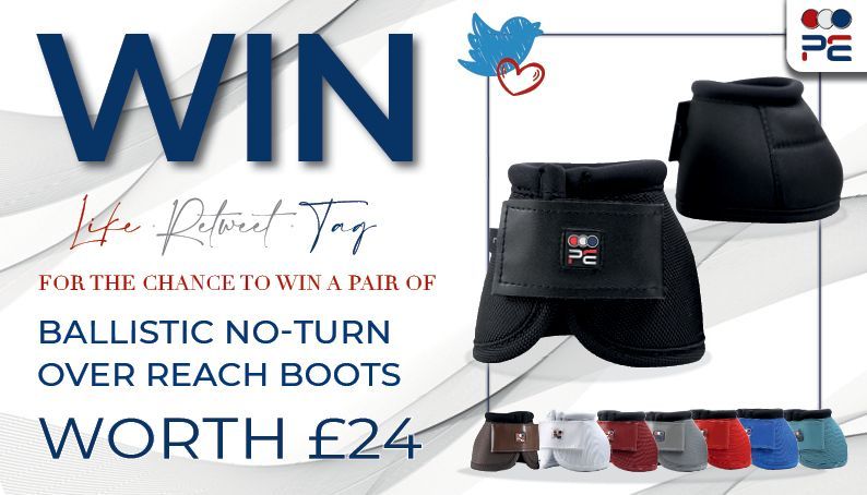 premierequine1's tweet photo. ❗️WIN WIN WIN❗️ 

Enter our May competition to be in with a chance of winning a pair of Ballistic No-Turn Over Reach Boots worth £24 😍 

To enter: 

🔹 LIKE this post
🔹 RETWEET this post
🔹 TAG your friends 

Good luck! 🍀 

#win #competition #horses #equestriansport https://t.co/3i4njTLYCx