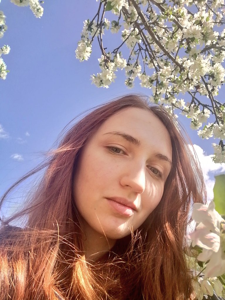 bloooo_mary's tweet photo. Cherry and Apple trees in our garden are so beautiful now 😍 💮🌸 https://t.co/N7B0CcF0Pe