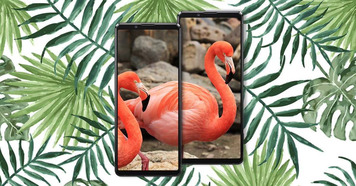 Sony Xperia Russia tweet media