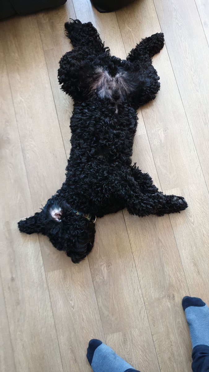 rubenschep's tweet photo. Zondag rustdag #doodlepose https://t.co/uEaTqpa9hr