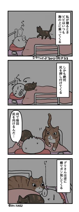 うちのネコチャンの4コマ 