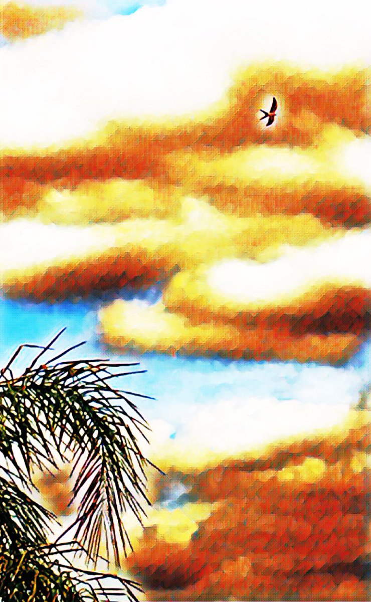 TomJanneck's tweet photo. 🌴 👁🤡. 🆗🆒🌴
#WTF
#OMG #Views @#Home
#Bike #Fun #Sun
#Survivor
#RIP
#poetrycommunity
#QAnon
#Colombia
#sister
#Michigan
#infosec
#depression
#Nursing
#NormalPeople
#Kishtwar
#Florida
#CocoWatchParty
#quoteoftheday
#quotes
#art
#FakeNewsMedia
#Cannabis
#WomenWhoCode
☮️ https://t.co/pfasaZAeBr