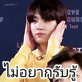 ᦔ᥊ꪀ. tweet media