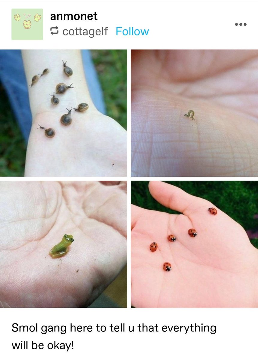 tiny_momo's tweet image. our tiny twice!!