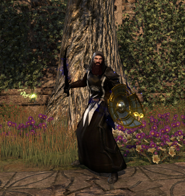 ELorethan's tweet photo. Proud winner of torchbug pet from @LoreseekersCast.
#ElderScrollsOnline #ESO #ESOFam #loreseekersguild https://t.co/BAsgHoiO9M