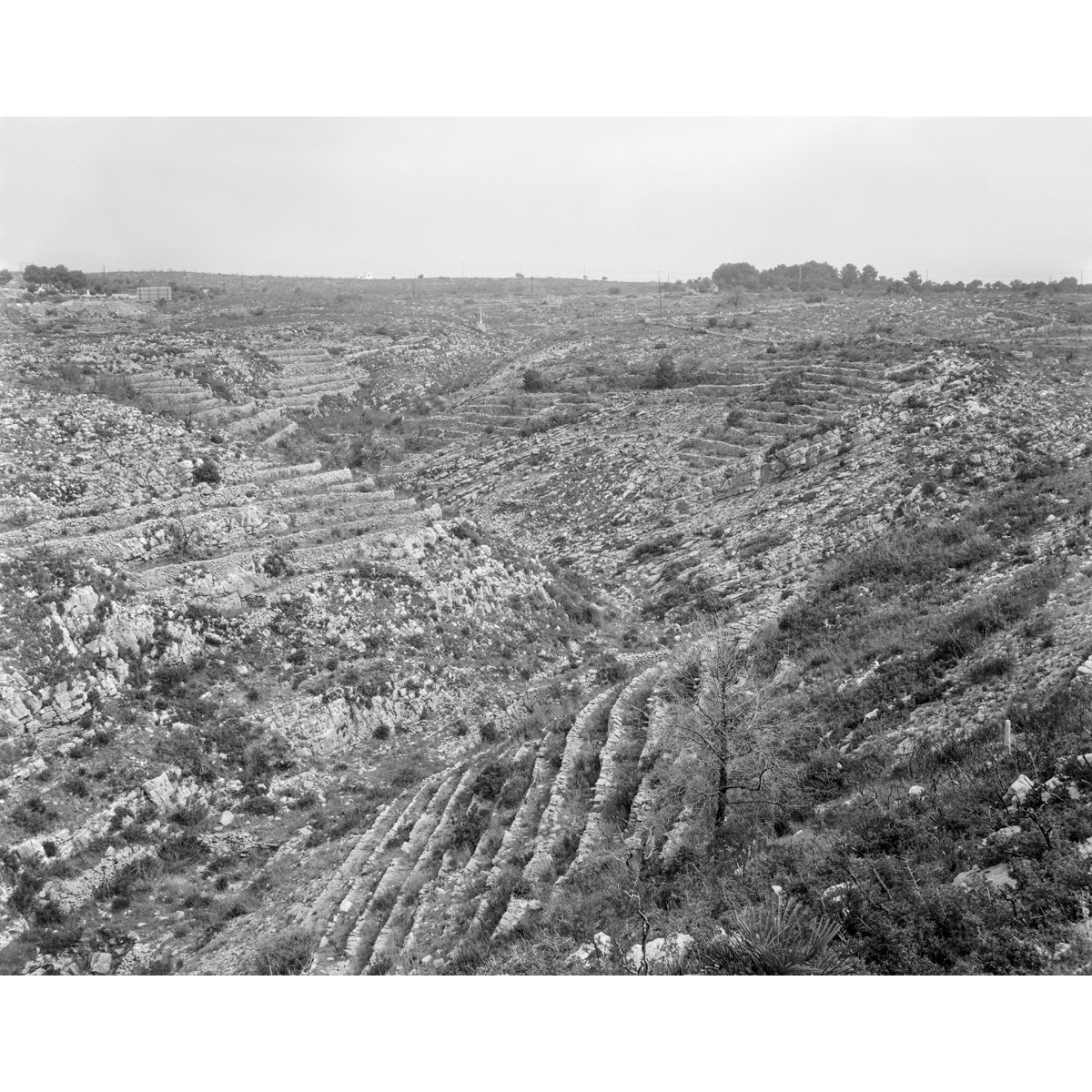 McCoyWynne's tweet photo. Continuing to scan 5x4 negs and this mini-series is entitled “ Zona Residencial “ made in the vicinity of Javea, Spain ( more on insta) #blackandwhite #largeformat #newtopographics #joedeal #urbanlandscapes #spain #zonaresidencial https://t.co/qOtdC2rI6L