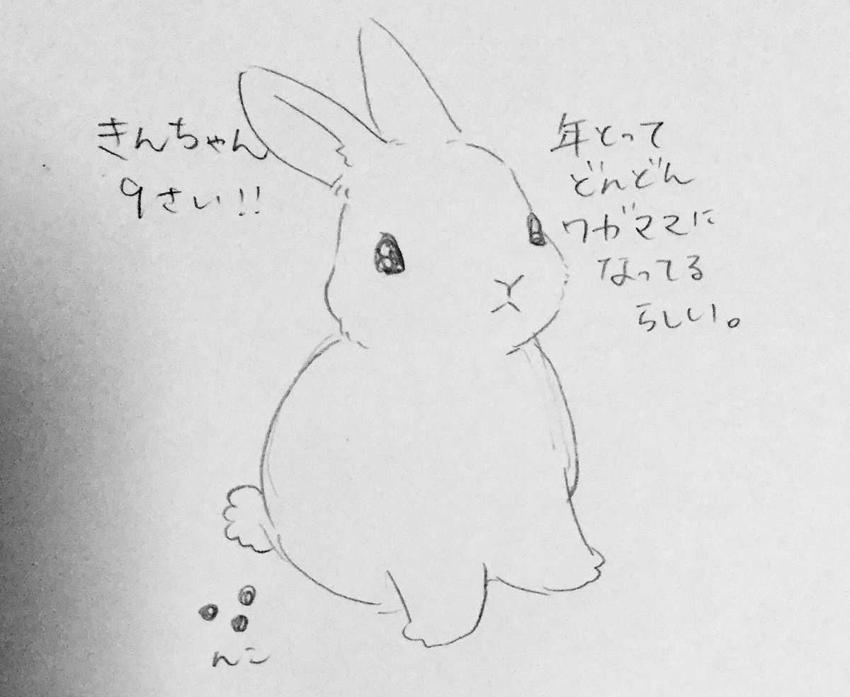 我が家のしもぶくれフレンズ 