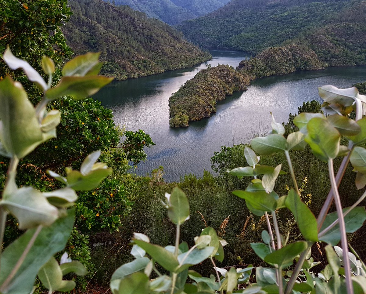 LexnaLof's tweet photo. Feliz #DíaDasLetrasGalegas! ♥️😉 Foto: A Covela #RibeiraSacra https://t.co/f7v6yiO6px