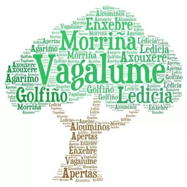 BAR CORBATAS tweet media