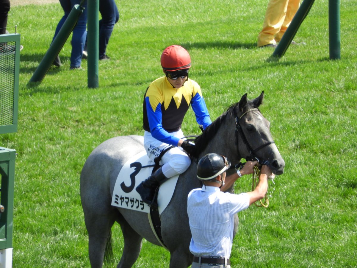 アーモンドアイ lang:ja since:2020-05-17_00:00:00_JST until:2020-05