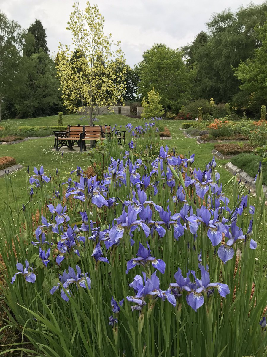 RTW in Bloom tweet media