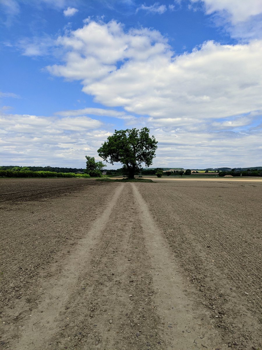 Adam Smalley tweet media