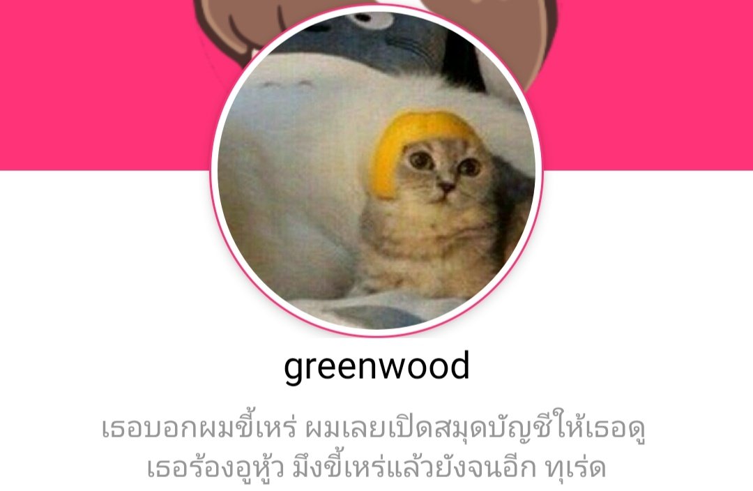 ซึงซึงตะตึงอู tweet media
