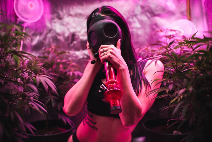 #girlswhosmokeweed #girlswithguns Follow my #OnlyFans to see more content! https://t.co/ud5MuQcDY3 https://t<a href="/tag/girlswhosmokeweed"class="tags">#girlswhosmokeweed</a><a href="/tag/girlswithguns"class="tags">#girlswithguns</a><a href="/tag/onlyfans"class="tags">#OnlyFans</a>