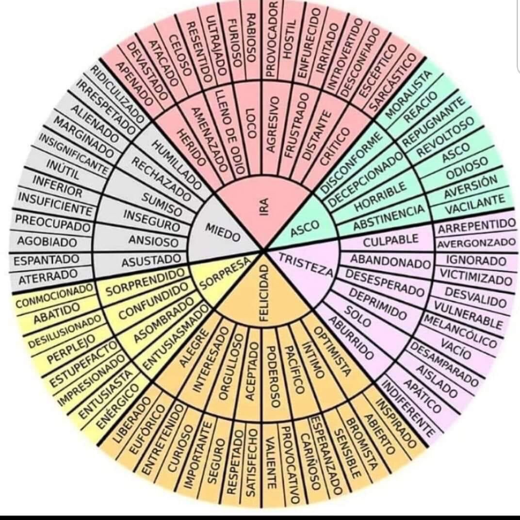 eveyhugo96's tweet photo. Cómo te sientes hoy? No me digas “bien”
⁦@V_TrujilloM⁩ https://t.co/pG85rXmVgL