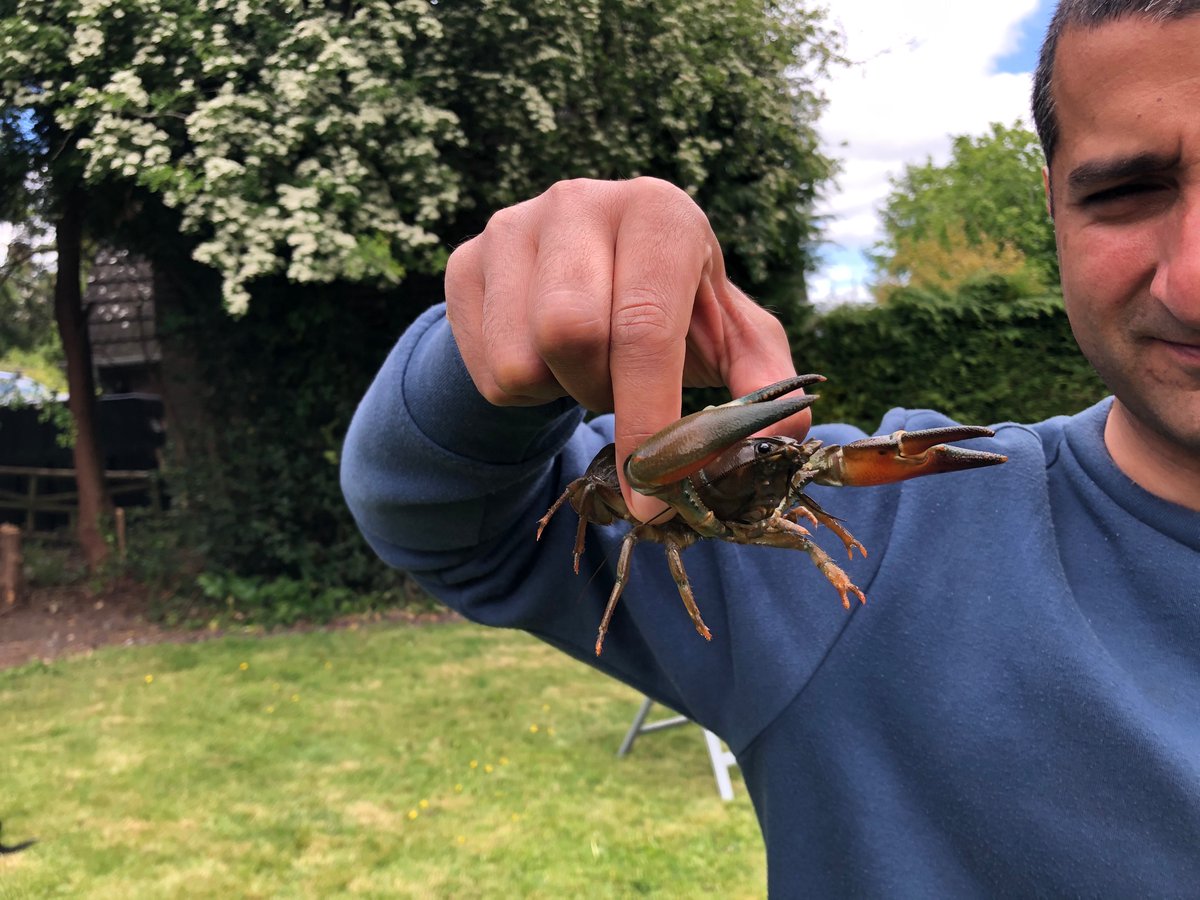 alvin helmandi (@alvinhelmandi) on Twitter photo 