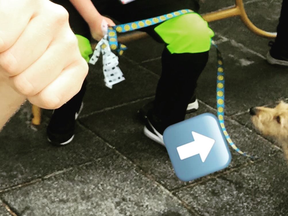 Dit jaar weer heel veel nieuwe scholen die een #eindfilm gaan maken met #Hollywoodindeklas !

#groep8 #primaironderwijs #basisschool #eindmusical #afscheidsfilm #filmeducatie #eindmusicalgroep8 #afscheidgroep8 #afscheidsfilm #schoolverlaters #groep8film #eindfilm #filmcoachfreek