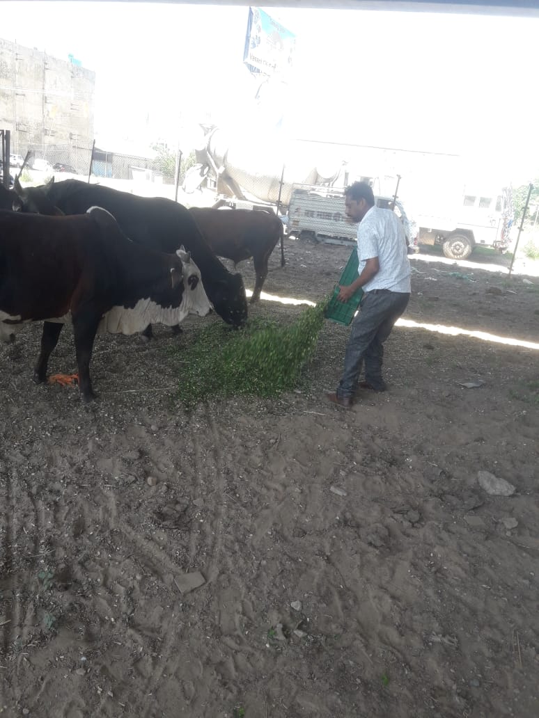 Bhartiya Gau Raksha Dal tweet media